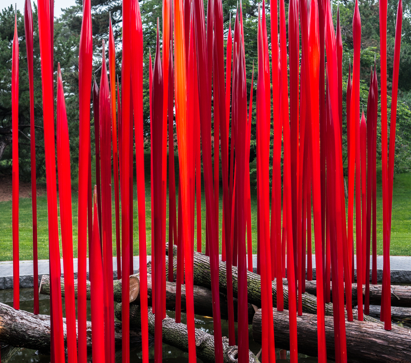 Dale Chihuly glass sculpture RED REEDS ON LOGS at the New York Botanical Garden (2017) | Photo by Mike Hudak