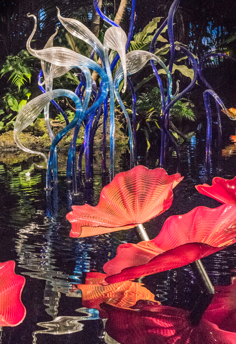 Dale Chihuly glass sculpture PERSIAN POND AND FIORI at the New York Botanical Garden (2017) | Photo by Mike Hudak.