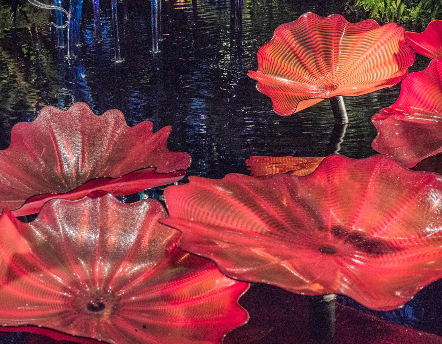 Dale Chihuly glass sculpture PERSIAN POND AND FIORI (closeup) at the New York Botanical Garden (2017) | Photo by Mike Hudak.
