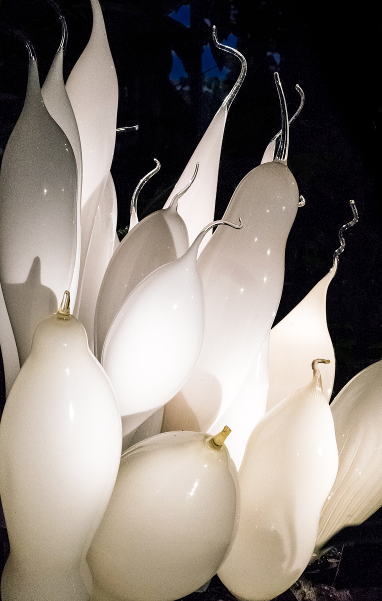 Dale Chihuly glass sculpture WHITE BELUGAS at the New York Botanical Garden (2017) | Photo by Mike Hudak.