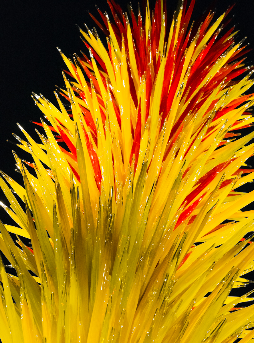 Dale Chihuly glass sculpture SCARLET AND YELLOW ICICLE TOWER (closeup of top) at the New York Botanical Garden. Photo by Mike Hudak.