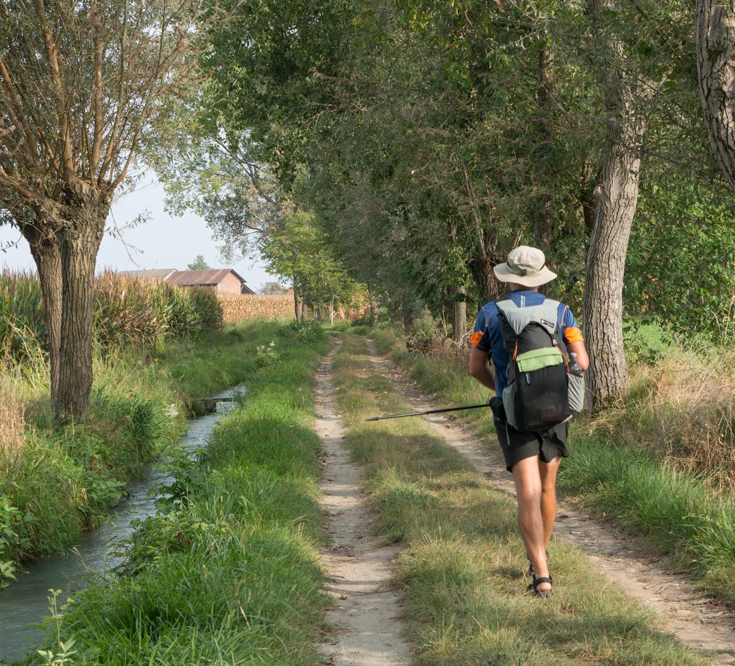 Pilgrim appraching Santhia (Italia) on Via Francigena as it passes between agricultural fields | Photo by Mike Hudak