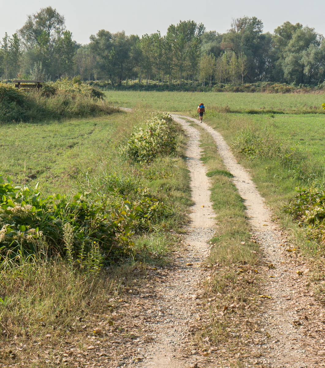 A pilgrim on the Via Francigena as it passes through farmland in Italy | Photo by Mike Hudak