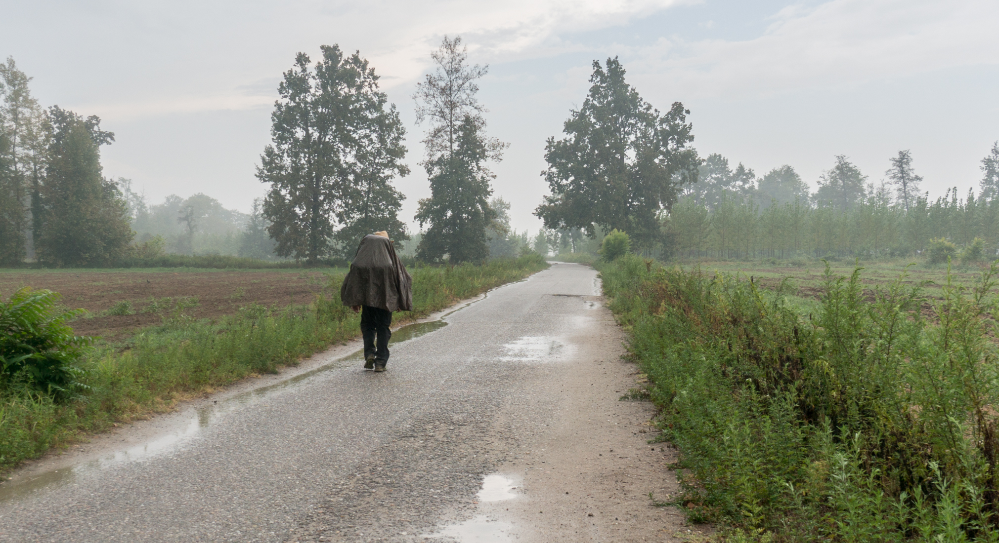 In morning rain a pilgrim on the Via Francigena heads toward Tromello, Italy | Photo by Mike Hudak
