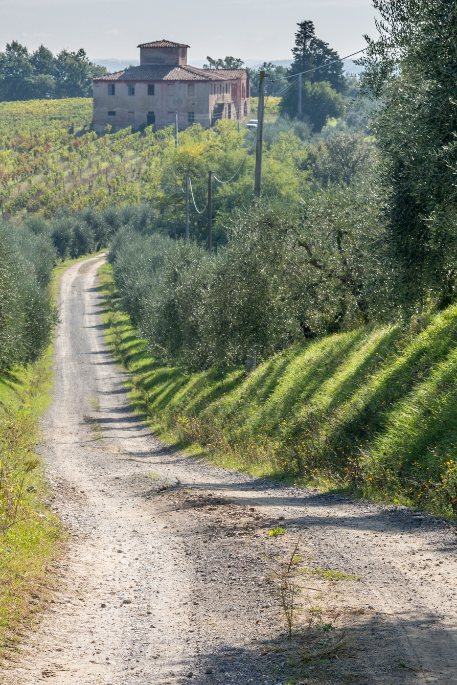 The Via Francigena in Tuscana approximately a three-and-a-quarter hour walk after departing San Miniato, Italy | Photo by Mike Hudak