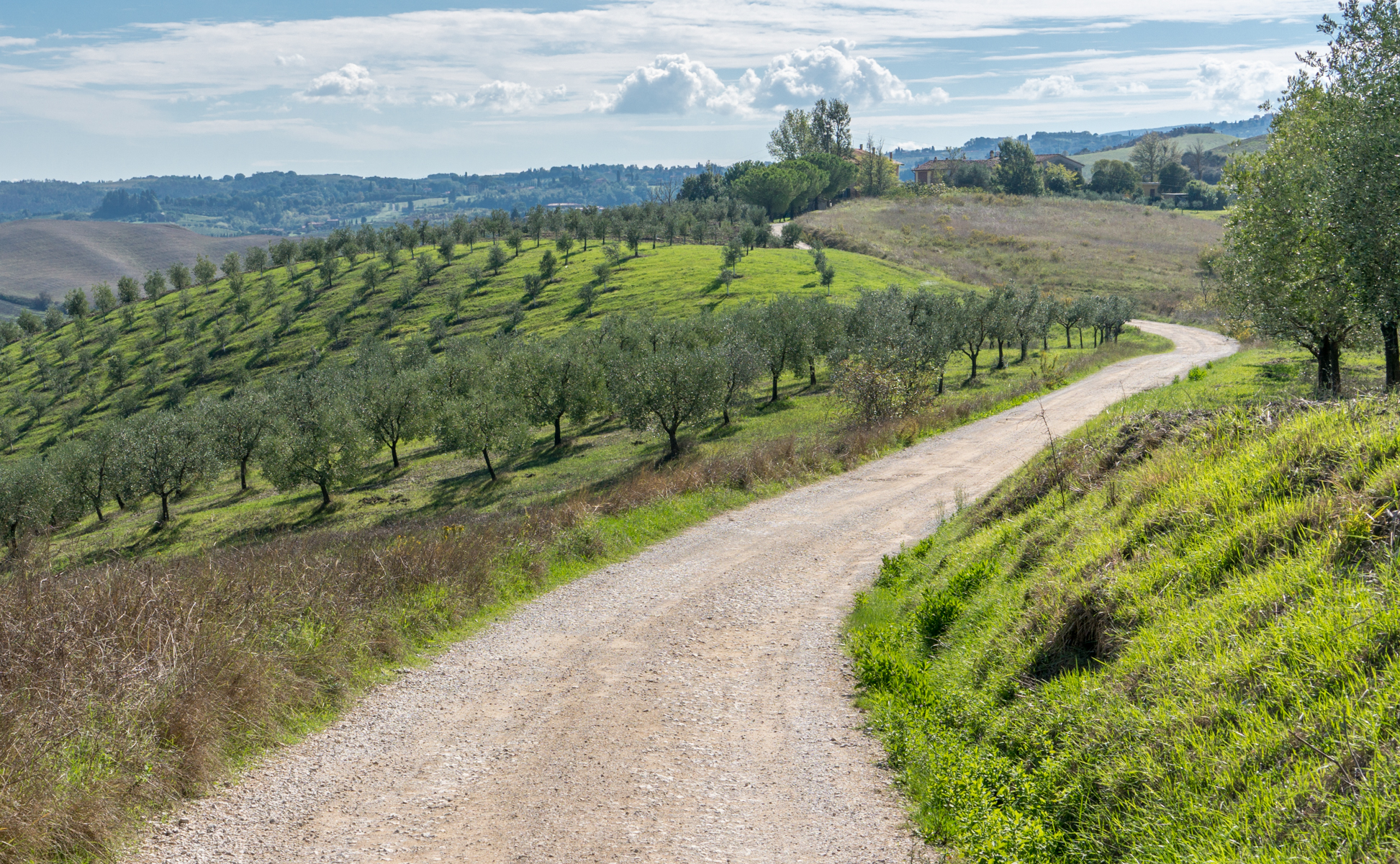 On the Via Francigena in Tuscana approaching Gambassi Terme, Italy | Photo by Mike Hudak