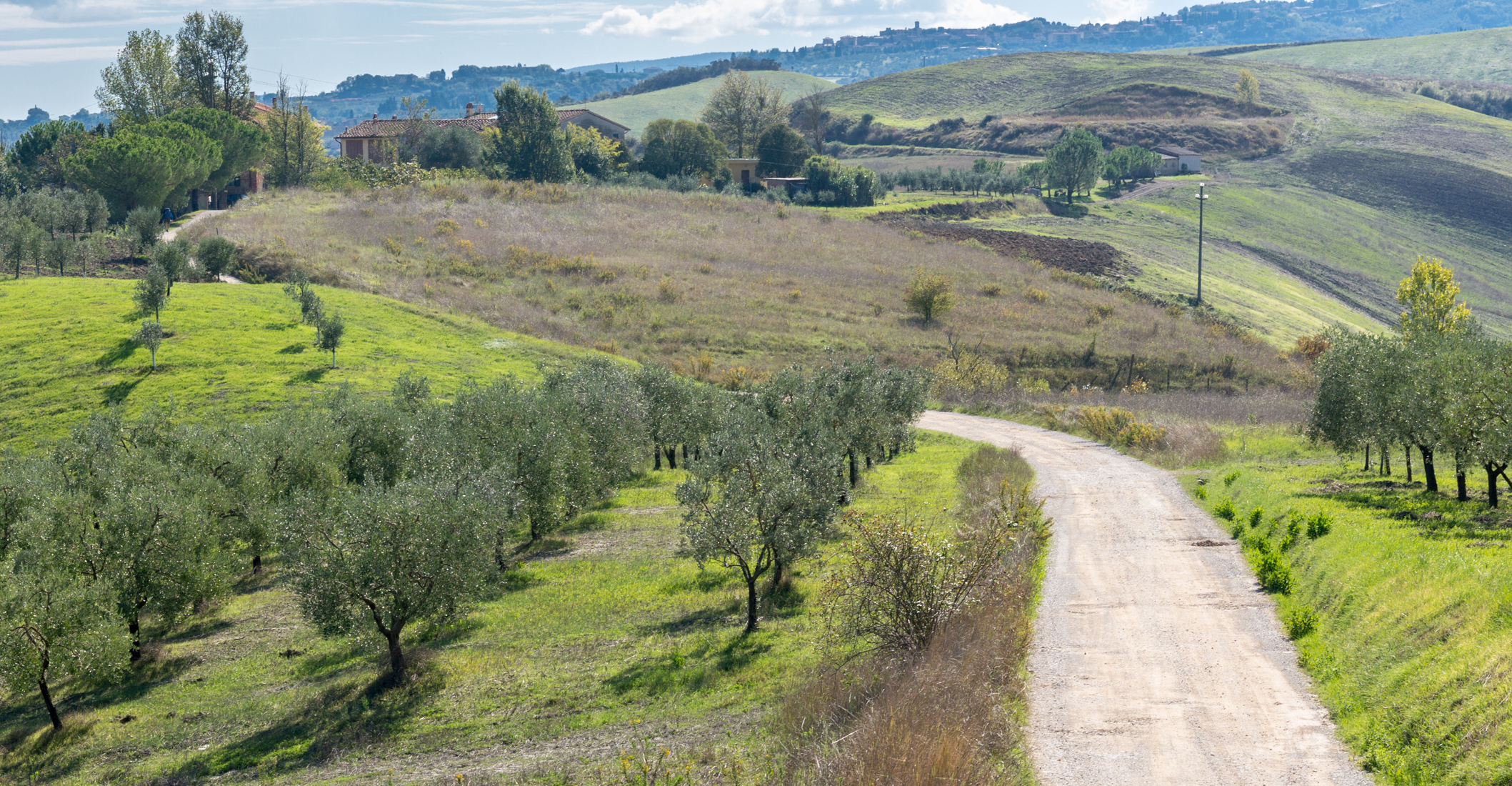 On the Via Francigena in Tuscana approaching Gambassi Terme, Italy | Photo by Mike Hudak